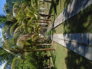 Casa Sandra28