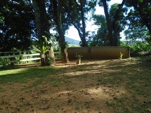CasaPazul18